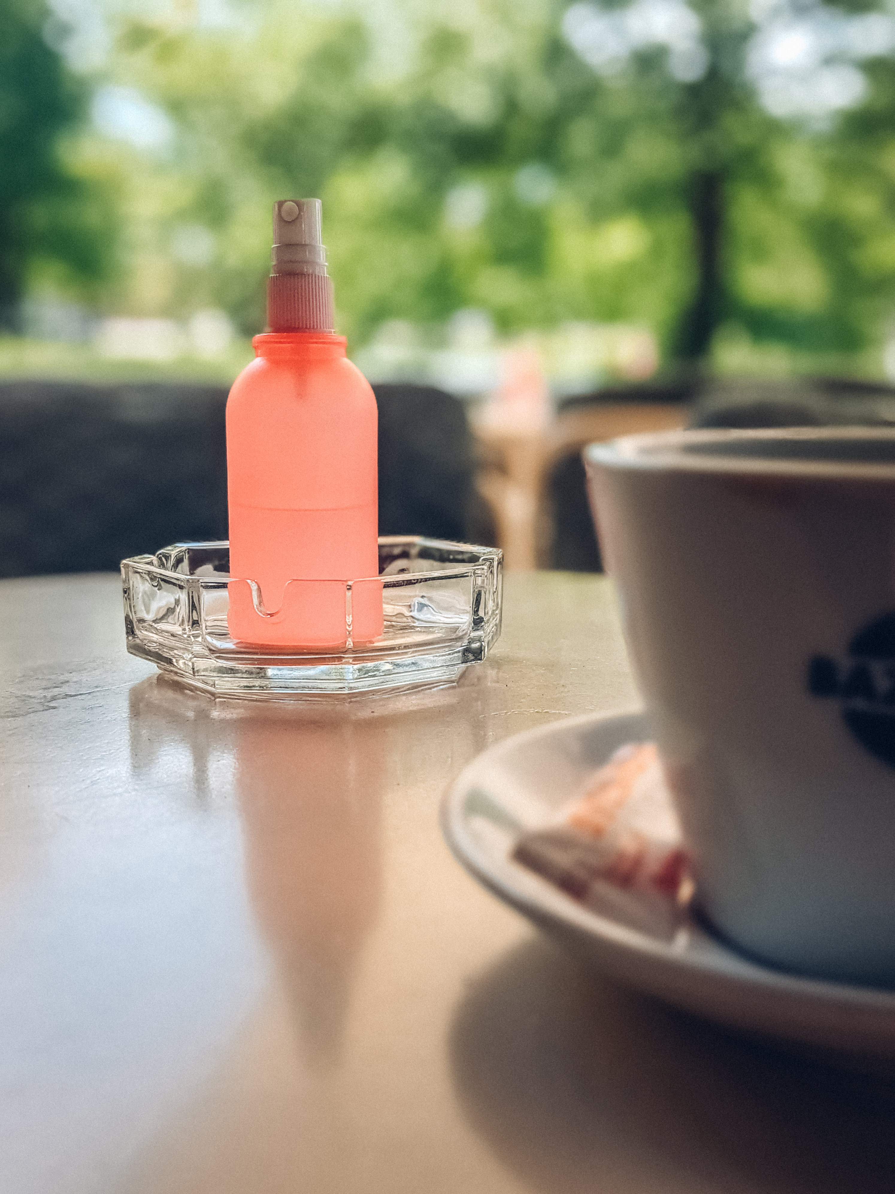 No-rinse sanitizer bottle